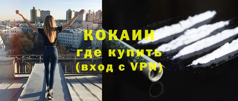 купить наркоту  Кувшиново  COCAIN VHQ 